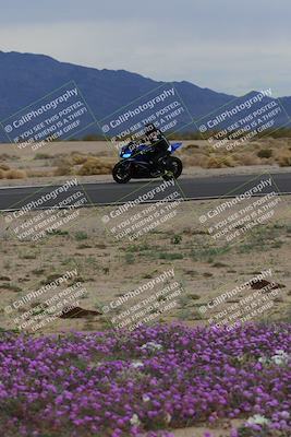 media/Jan-14-2023-SoCal Trackdays (Sat) [[497694156f]]/Turn 14 Exit Bloomig (145pm)/
